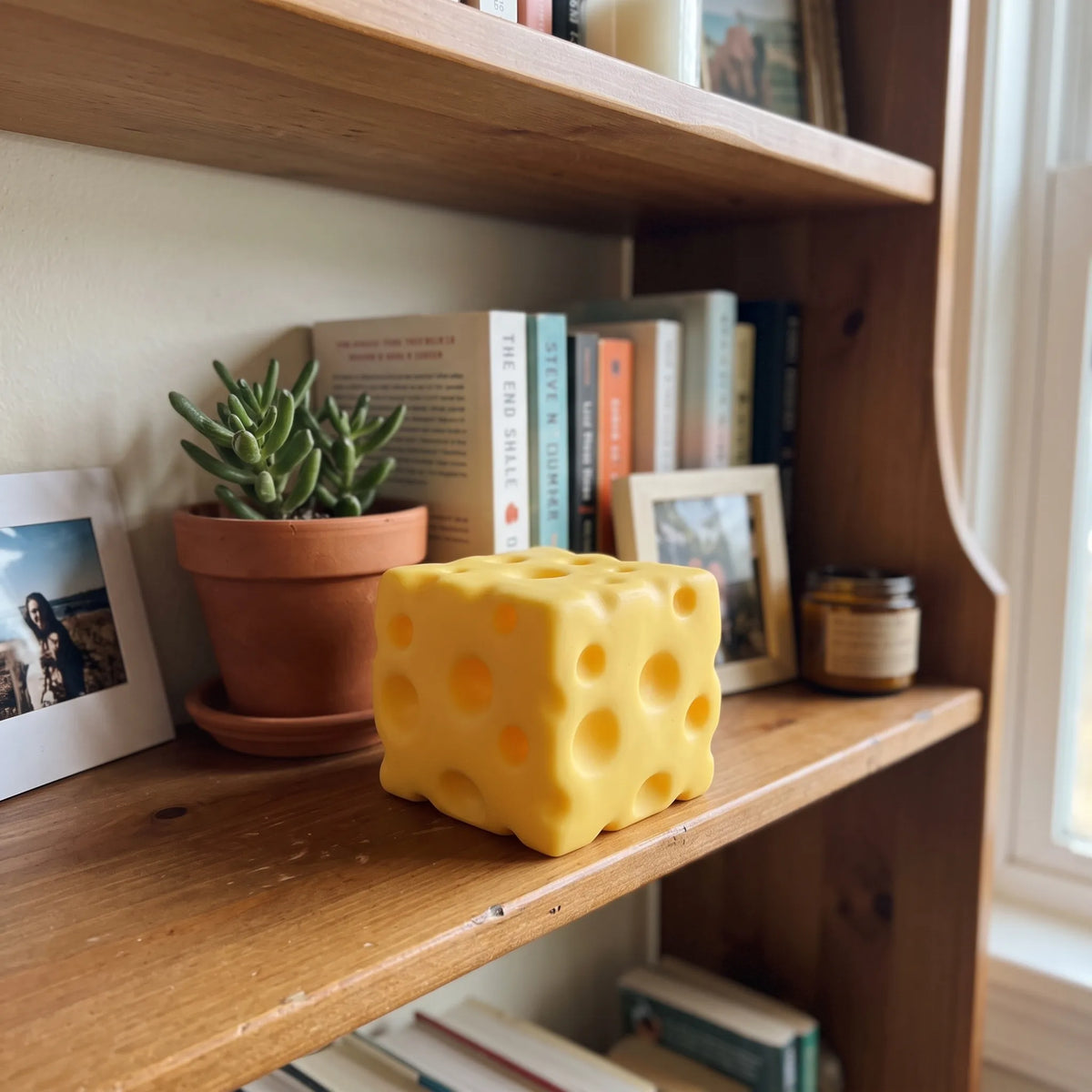 Big cheese squishy displayed on a bookshelf beside books and a plant