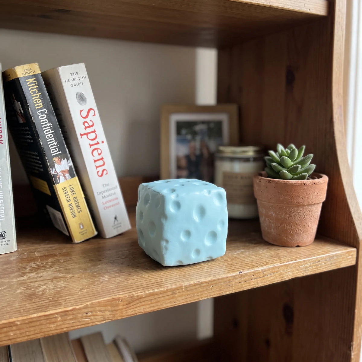 Blue cheese squishy block sitting on a wooden shelf at home