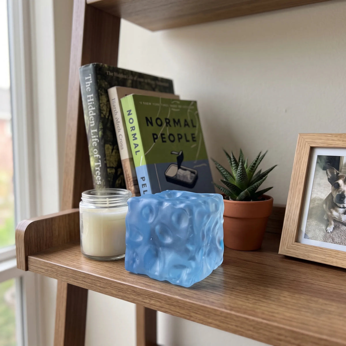 Clear blue cheese squishy cube displayed on a wooden shelf