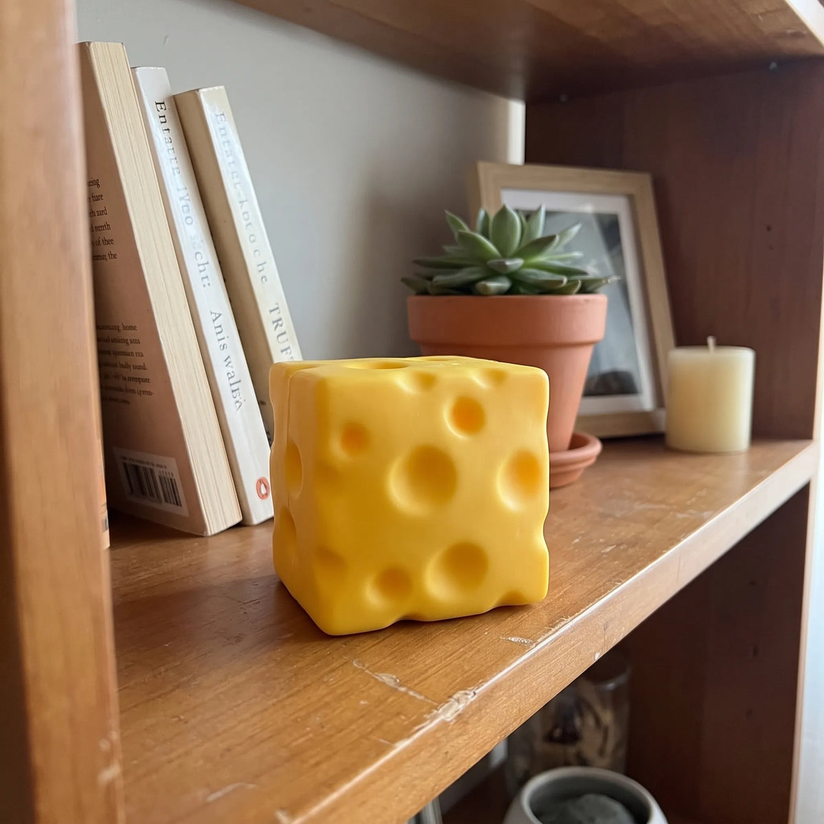 Cheese squishy toy sitting on a wooden shelf beside books and a plant