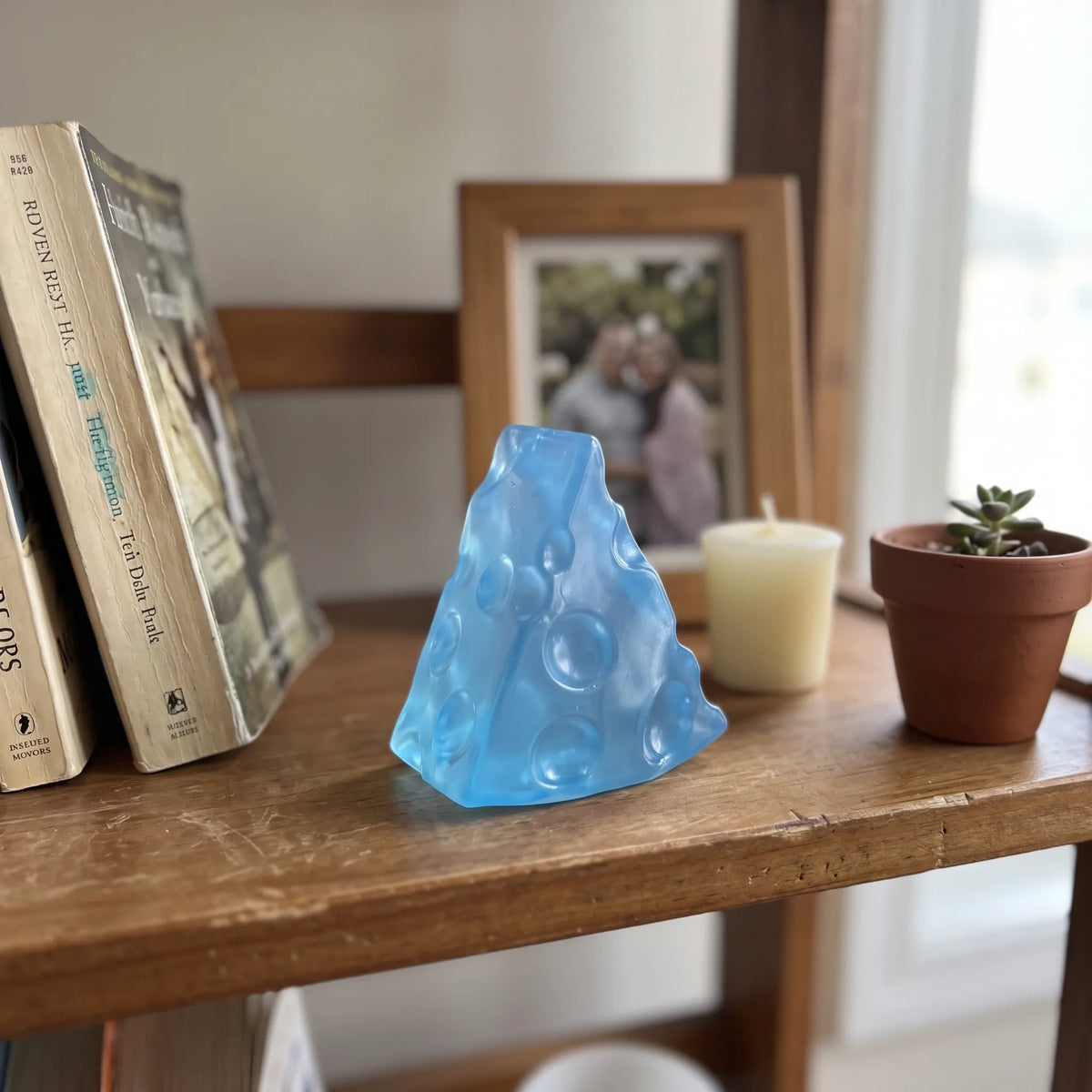 Ice blue cheese squishy wedge sitting on a wooden shelf at home