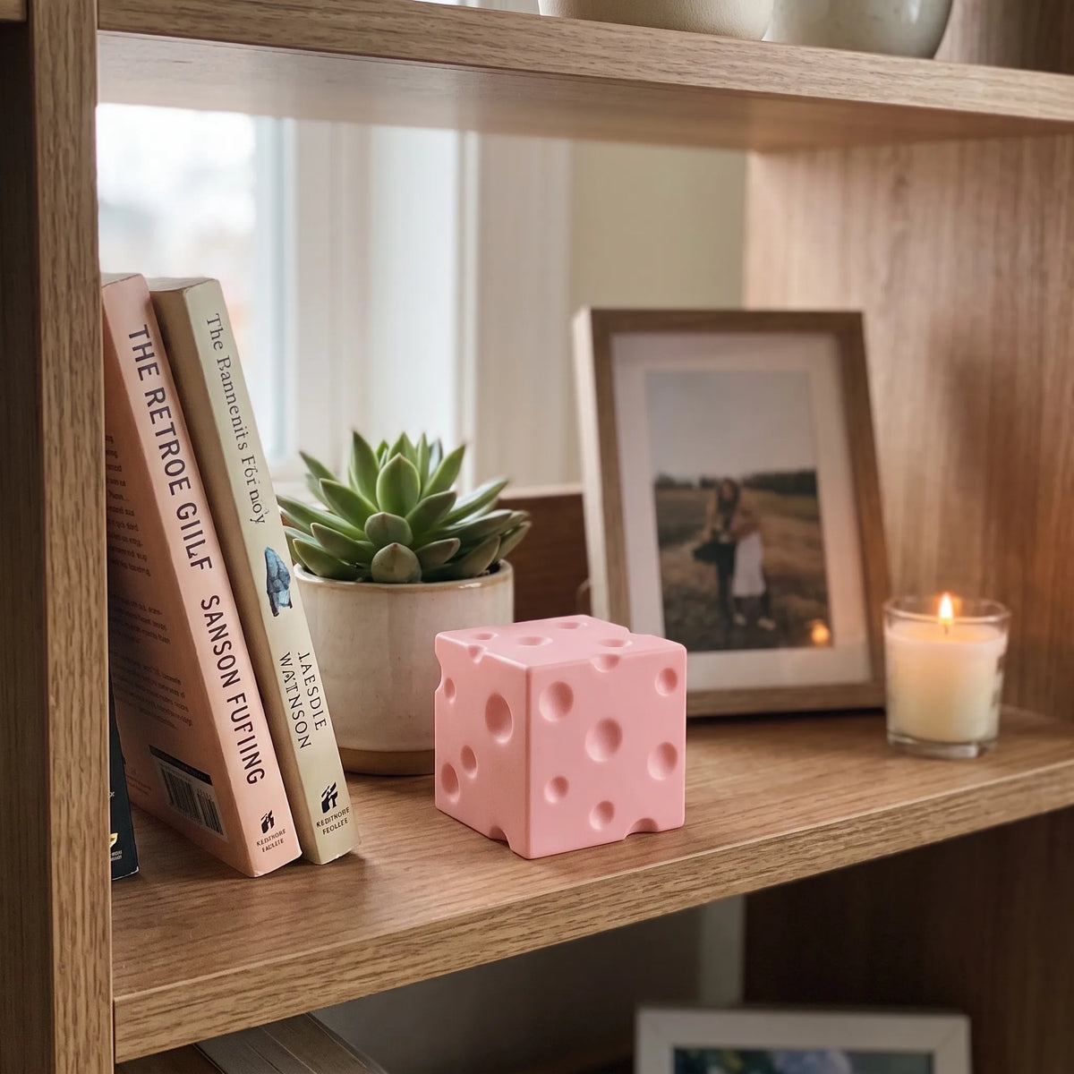 Pink cheese squishy block sitting on a wooden shelf at home