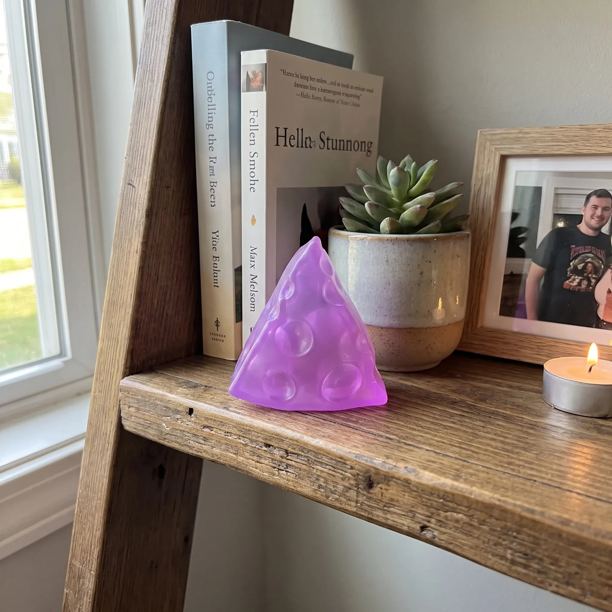 Purple cheese squishy wedge sitting on a wooden shelf at home
